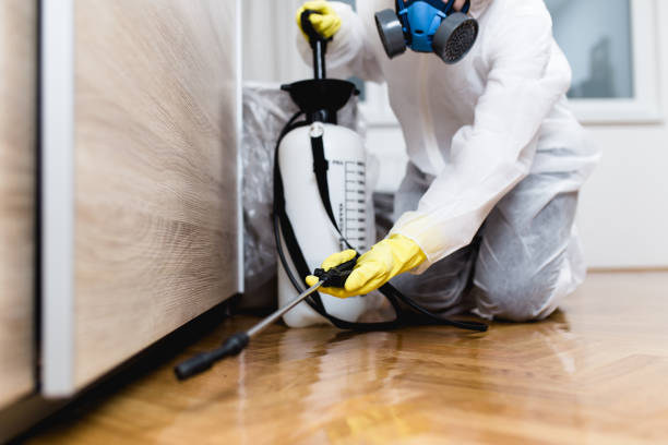Best Pest Prevention Services  in Rockwell City, IA
