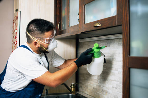 Rockwell City, IA Pest Control Company