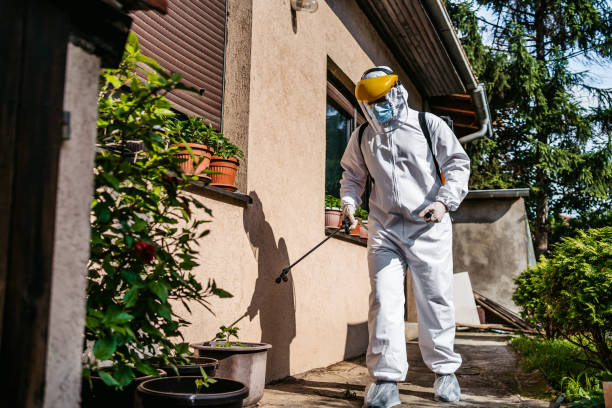 Best Commercial Pest Control Services  in Rockwell City, IA