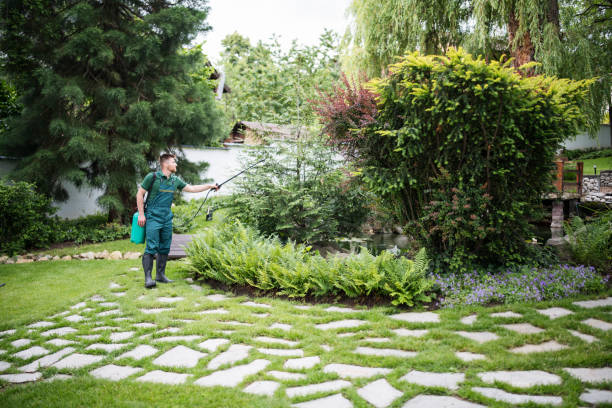Pest Prevention Services in Rockwell City, IA