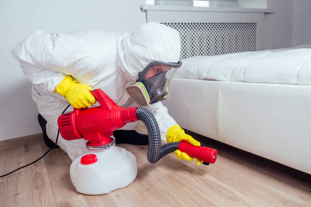 Best Termite Control Services  in Rockwell City, IA
