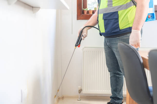 Best Bed Bug Extermination  in Rockwell City, IA