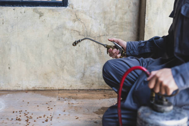Best Mosquito Control Services  in Rockwell City, IA